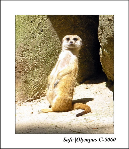 2005 - 06 - Zoo 036.JPG